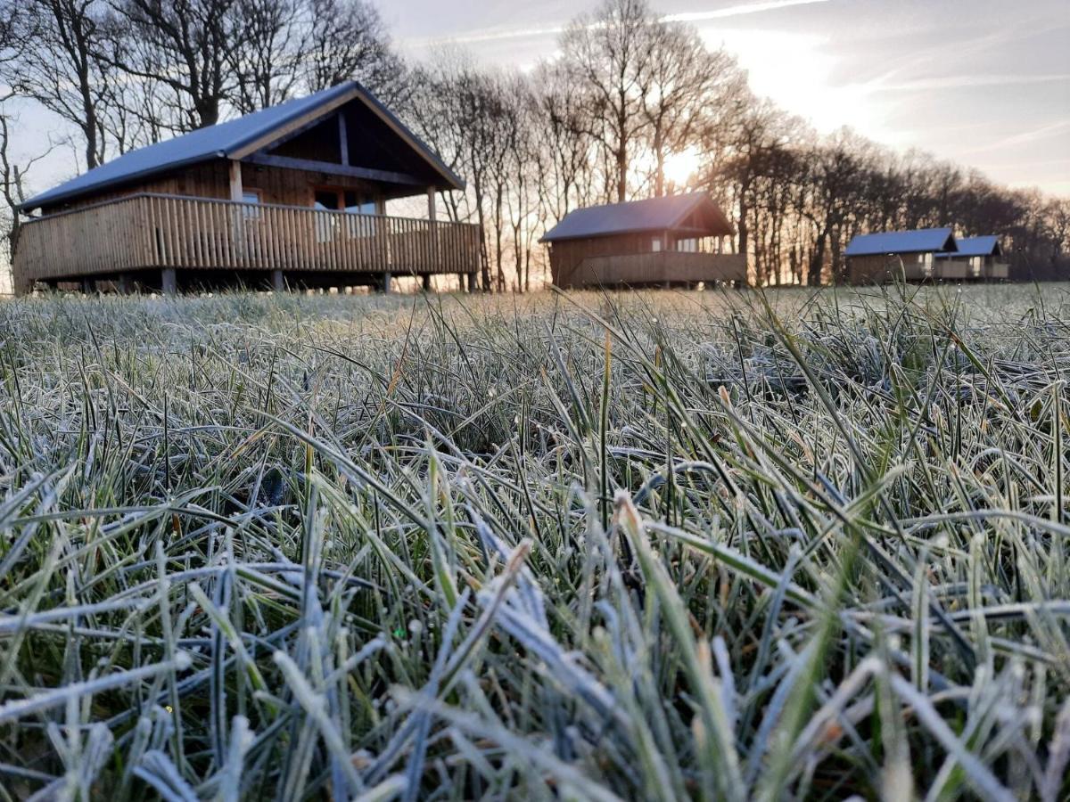 Composite Lodges With Shared Space In Drenthe Ruinerwold Exterior foto